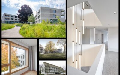 RinauPark – 10 Jahre, ein erfolgreiches Ergebnis